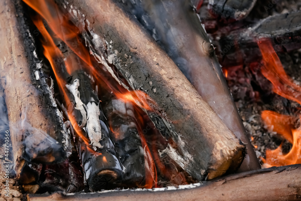 Fogo crepitando no chão, a brasa perfeita para assar carnes, espalhando um aroma irresistível pelo ar. Fogo crepitando no chão, a brasa perfeita para assar carnes, espalhando um aroma irresistível pelo ar.