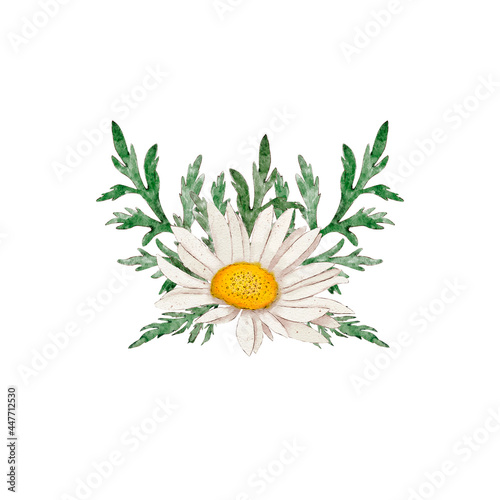 Watercolor illustration of a chamomile bouquet on a white background. Hand-drawn and suitable for all types of design and printing photo