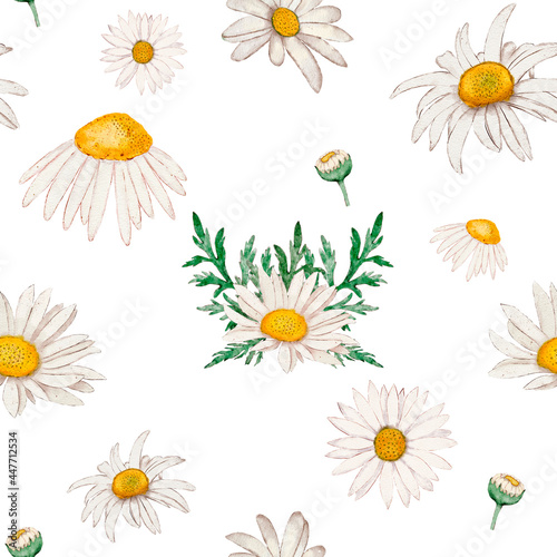 Watercolor illustration of a white chamomile pattern with leaves on a white background. Hand-drawn and suitable for all types of design and printing