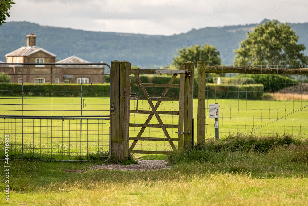 Gate and fence at Petworth corker ground