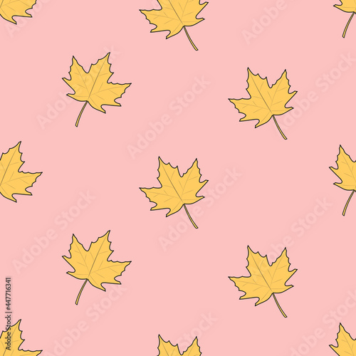 autumn seamless pattern, vector pattern, fall, maple leaves
