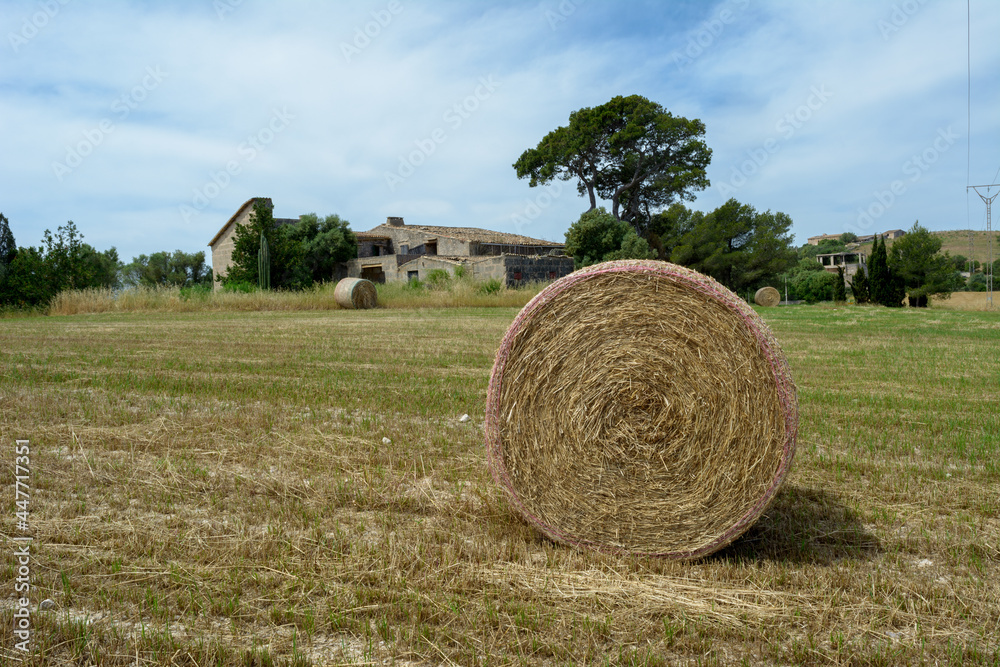 Stacks of straw - bales of hay, rolled into stacks left after harvesting of wheat ears, agricultural farm field with gathered crops rural. Balearic Islands, Majorca, Spain Stacks of straw - bales of hay, rolled into stacks left after harvesting of wheat ears, agricultural farm field with gathered crops rural. Balearic Islands, Majorca, Spain
