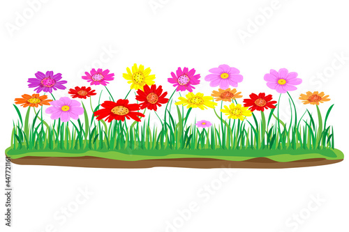 isolated beautiful flower on white background vector design
