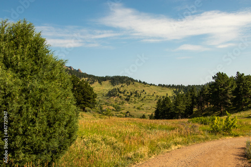 road in the countryside