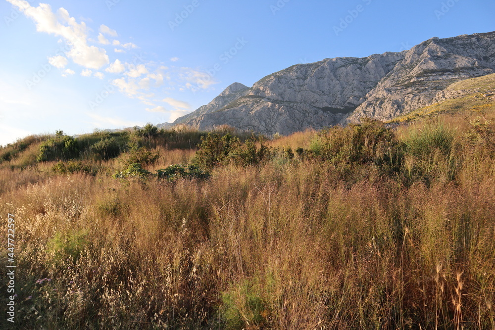 Landscape at sunset burnt grass on a mountain slope and a mountain range on a summer sunny evening, Croatia