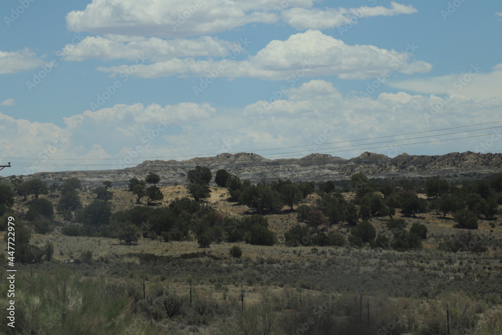 New Mexico Wildlife and Landscape