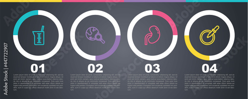 Set line Laboratory glassware or beaker, Magnifying with globe, Human kidney and Petri dish pipette. Business infographic template. Vector