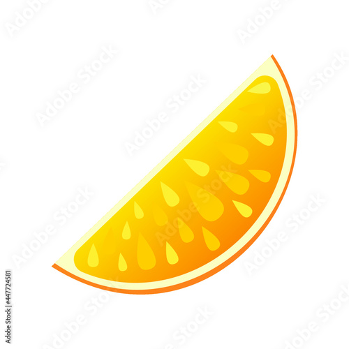 Vector flat illustration of juicy orange slice