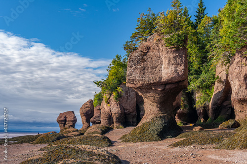 Canada-New Brunswick-Hopewell Rocks