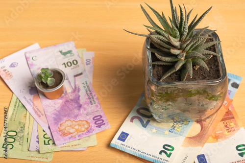 Pots with plant over bills pesos and over bills euros
