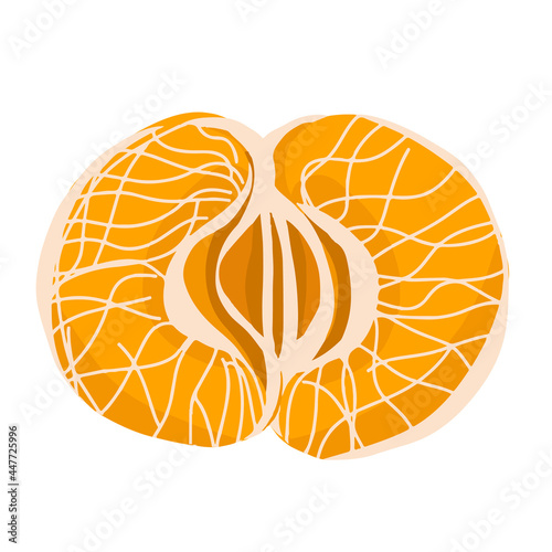 Hand-drawn yelow mandarine vector illustration. Farm organic tangerine ingredient for juice. Vegetarian diet illustration.