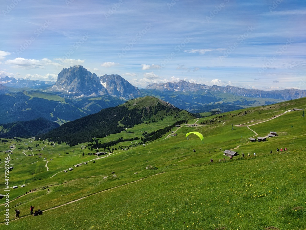 alpine meadow in the mountains, Seceda, The Dolomites, Alto Adige, Italy