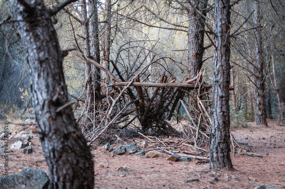 Wooden log shelter in the forest Wooden log shelter in the forest
