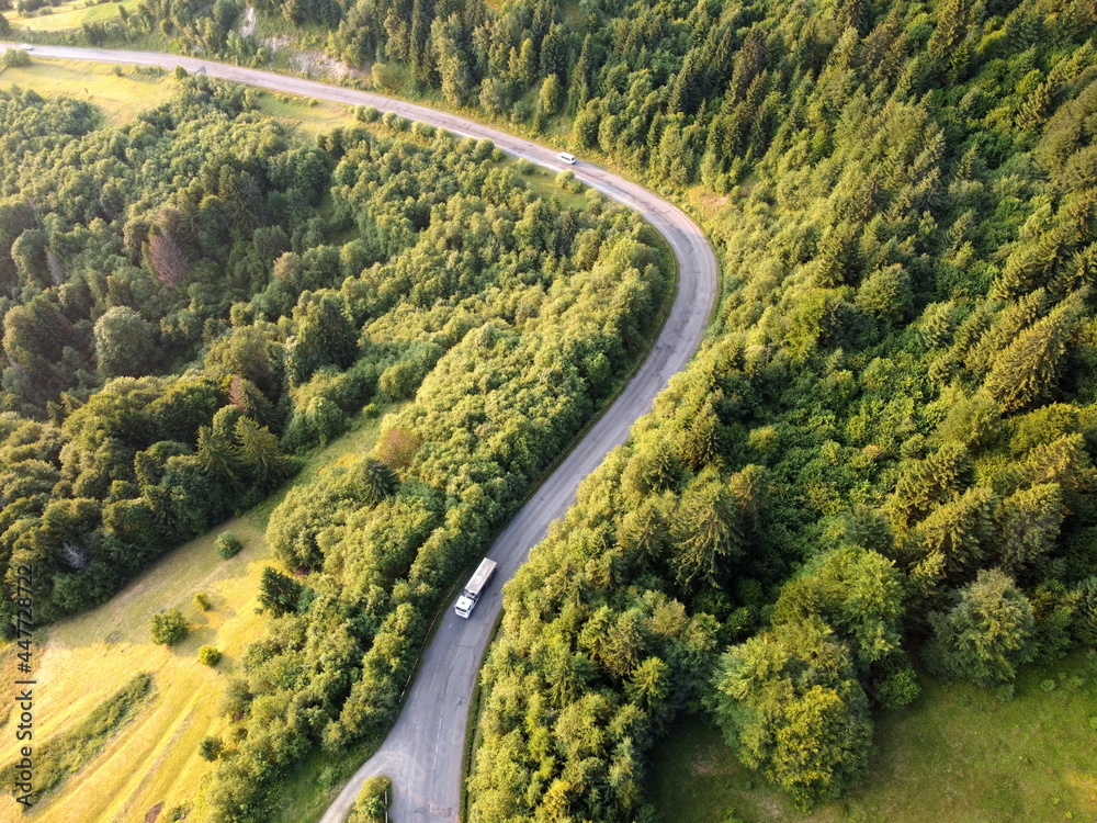 view from the drone on the coniferous forest road and cars view from the drone on the coniferous forest road and cars