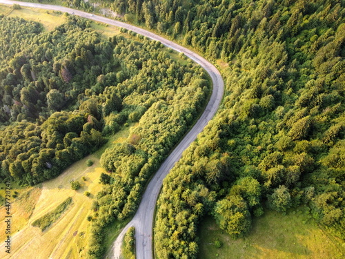 aerial view of the road in the forest