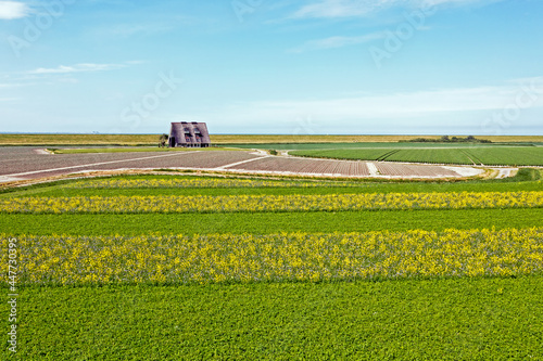Aerial from rapeseed fields along the dyke in Friesland the Netherlands