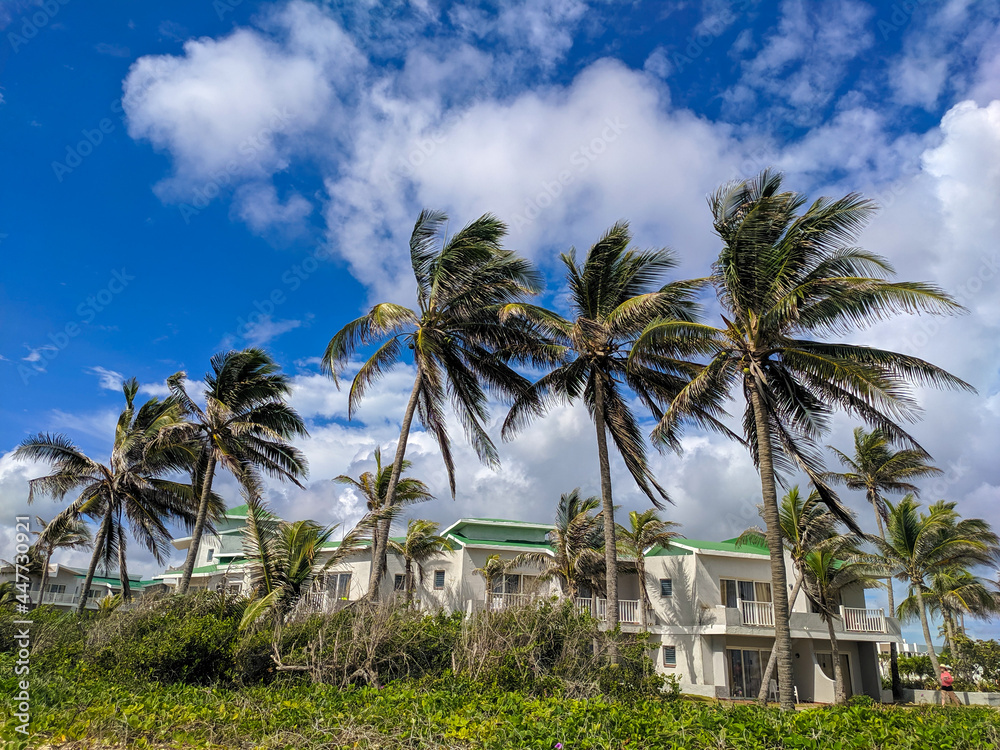 Cayo Coco, Cuba, 16 may 2021: The territory of the hotel Tryp Cayo Coco. The hotel houses are set against a background of blue sky, tall palms and green plants.