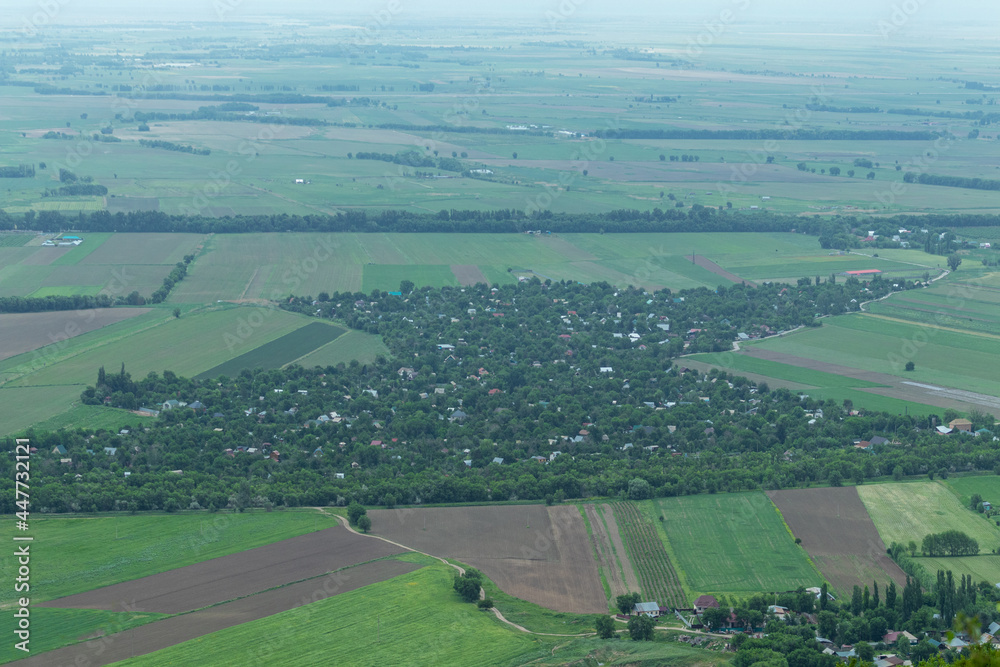Settlement densely overgrown with trees among agricultural fields
