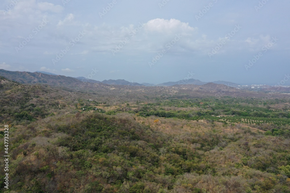 Fototapeta premium Bosque tropical, paisaje, montañas