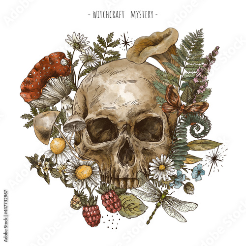 Hand drawn floral skull, witchcraft  flowers illustration. Wicca herms, mushrooms, amanita photo