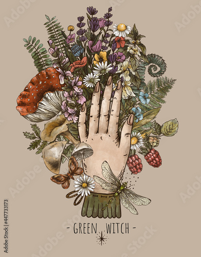 Herbology bouquet with a woman hand, Green witch illustration, herbs, mushroom, amanita, flowers. photo