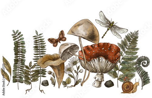 Woodland treasures, Amanita mushroom, fern, forest plants baner.