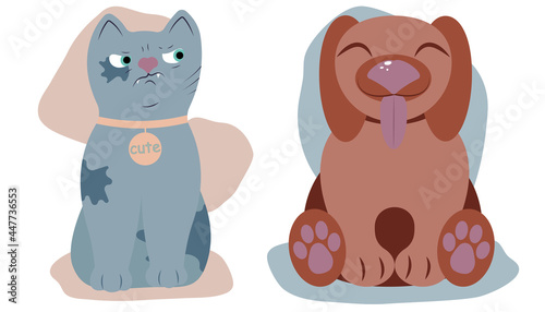 cat angry dog happy kind animal sarcasm contempt suspicion muzzle paws cute pet