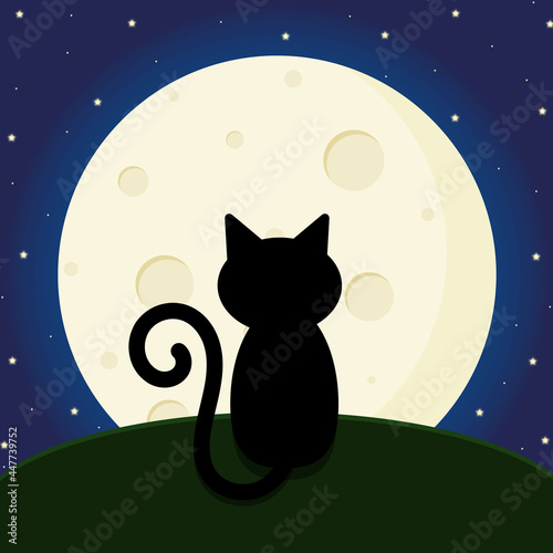 Black cat sits at night and looks at the moon