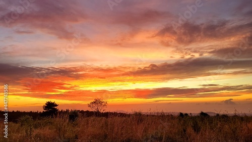 a red sunset, Sunset, a sunset scene, sunset scenery, Sunset in Jeju Island Korea