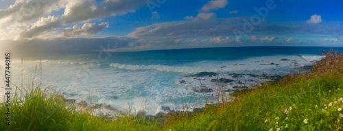 Fototapeta Naklejka Na Ścianę i Meble -  Maui Beach