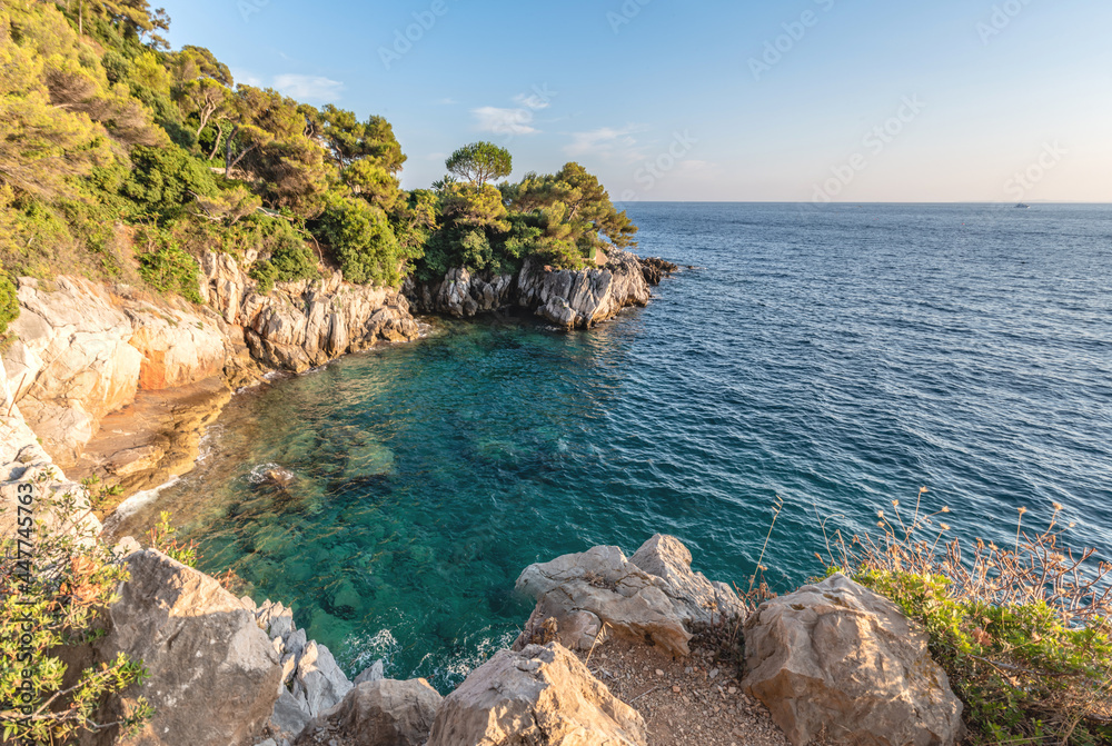 Crique paradisiaque du Cap Ferrat sur la Côte d'Azur