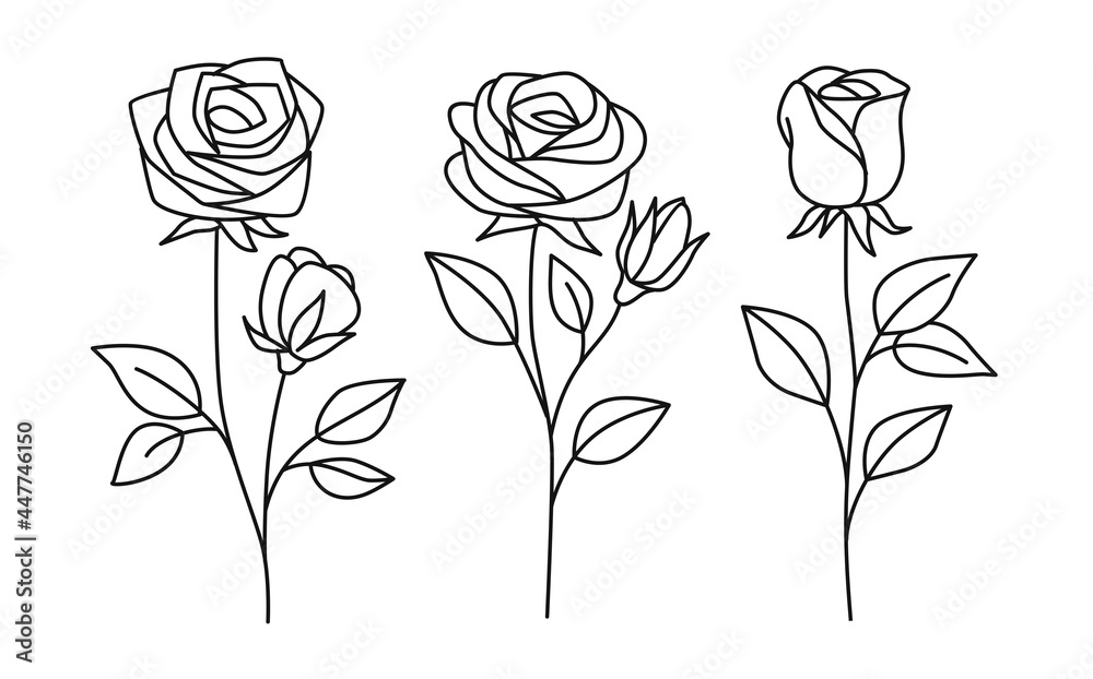 Line rose with leaves. Vector hand drawn set  - obrazy, fototapety, plakaty 