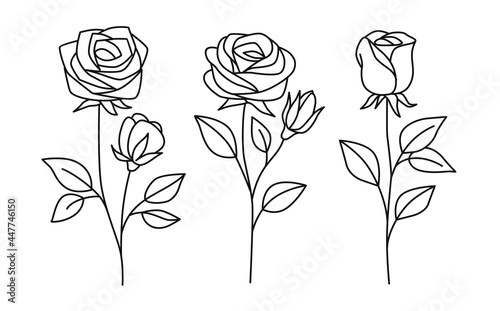 Line rose with leaves. Vector hand drawn set  photo