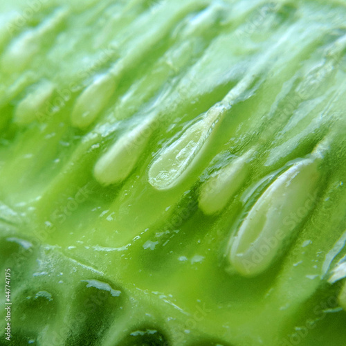 Cucumber natural raw natural macro image very zoomed in, blurred background