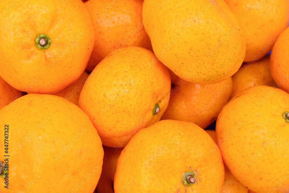 Mandarin oranges in stacks. Isolated on white. Mandarin oranges in stacks. Isolated on white.