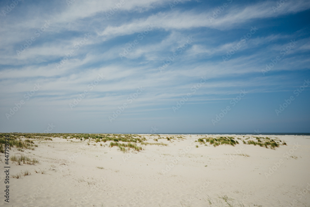 Wide beach landscape with sand dunes and blue sky, North Sea Wide beach landscape with sand dunes and blue sky, North Sea