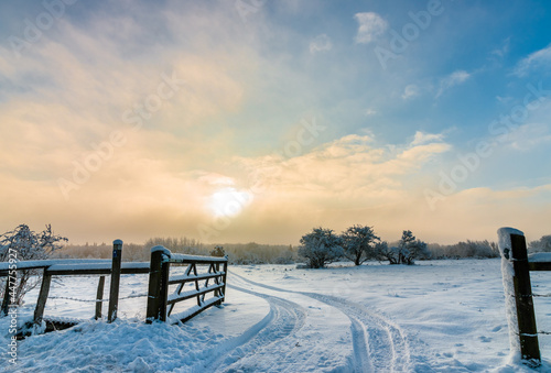 Wonderful winter morning in mist.

Mountain Kinnekulle, Sweden