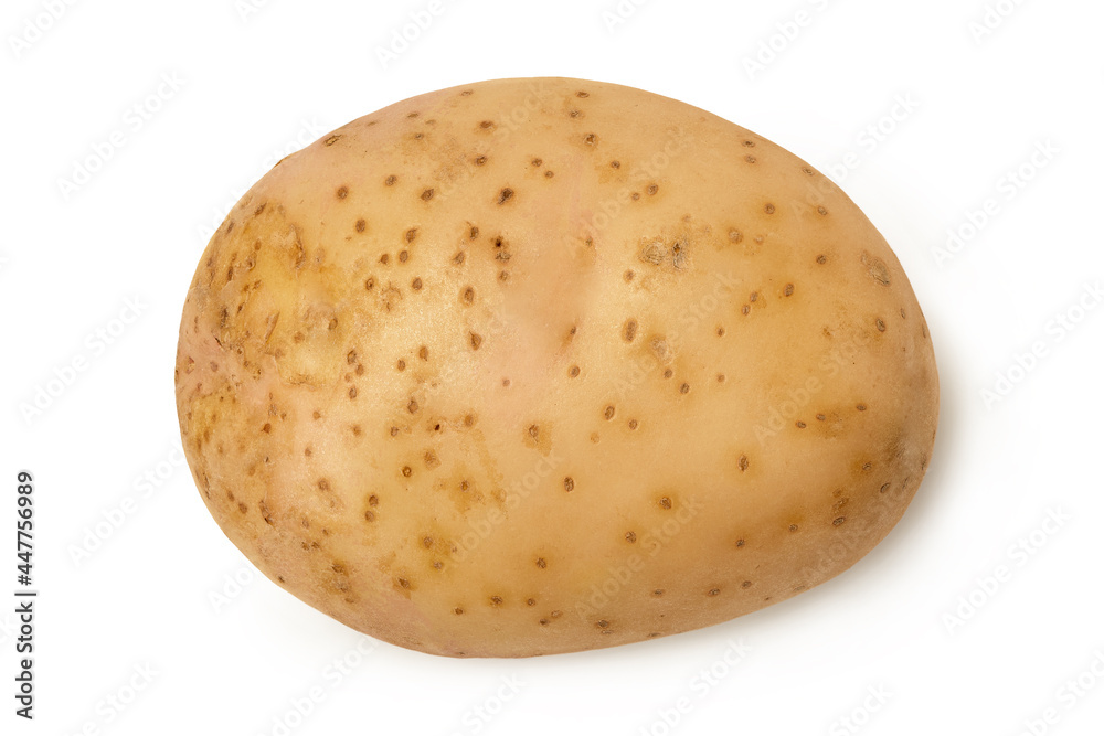 Young potato tuber isolated on white background. Young potato tuber isolated on white background.
