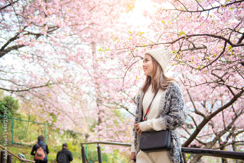 Photography Attractive woman is enjoying  with  Cherry Blossom in Matsuda , Japan
