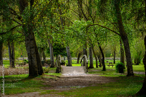 Fototapeta Naklejka Na Ścianę i Meble -  Parque de la Candamia, city of Leon Spain, garden leisure and sports area on the bank of the Torio river
