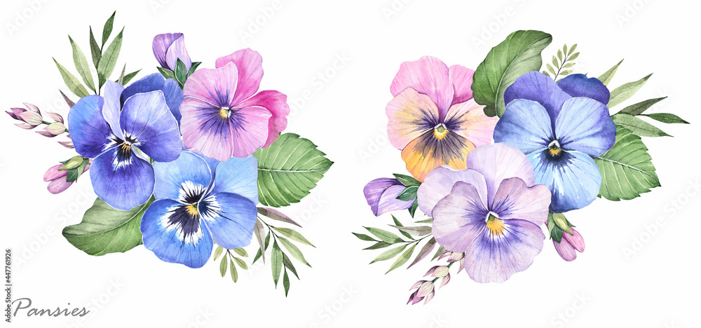 Spring plants. Beautiful bouquets of pansies. Pansy flowers on a white background. Watercolor illustration. Spring plants. Beautiful bouquets of pansies. Pansy flowers on a white background. Watercolor illustration.