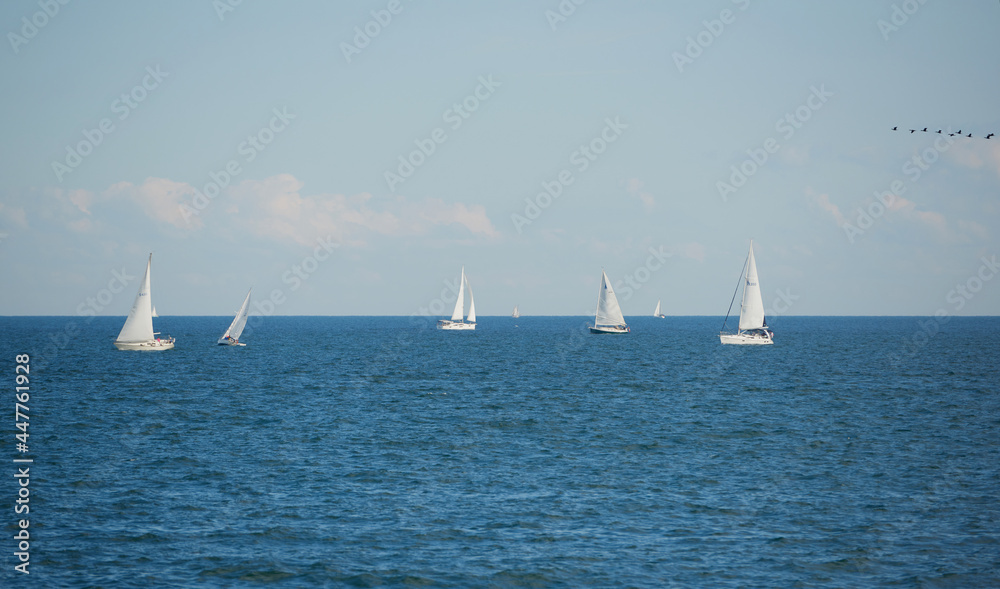 Obraz premium Aerial drone ultra wide photo of beautiful sail boats team sailing in turquoise Ionian island crystal clear sea