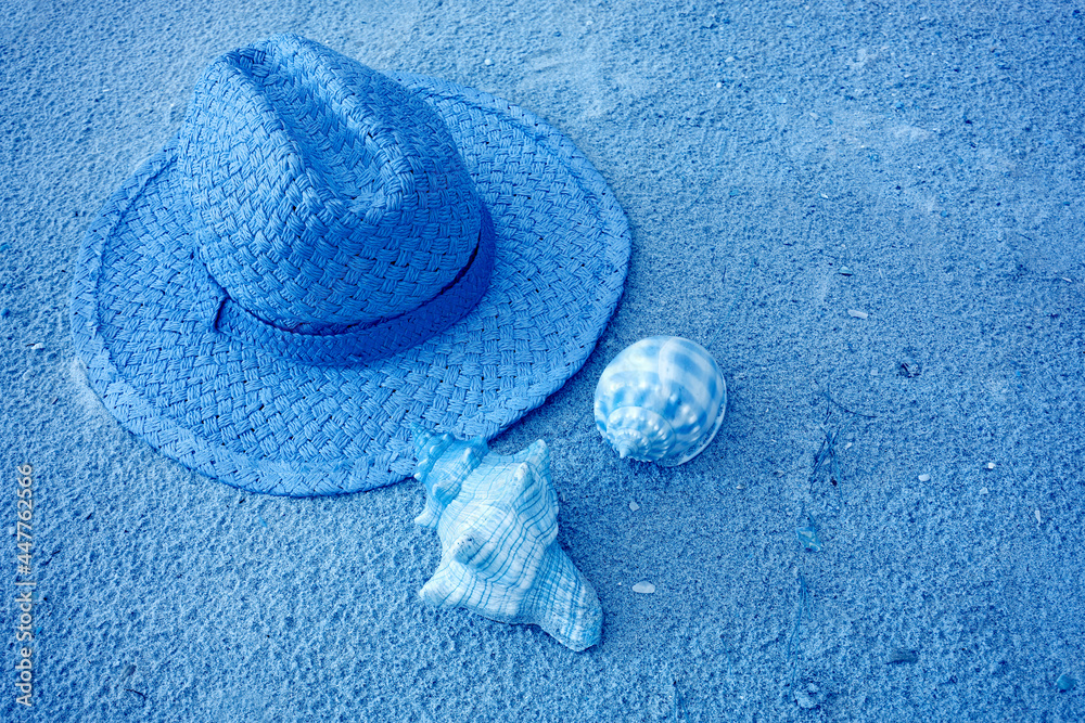 Pop art surreal style blue colored straw hat and seashells on the beach Pop art surreal style blue colored straw hat and seashells on the beach