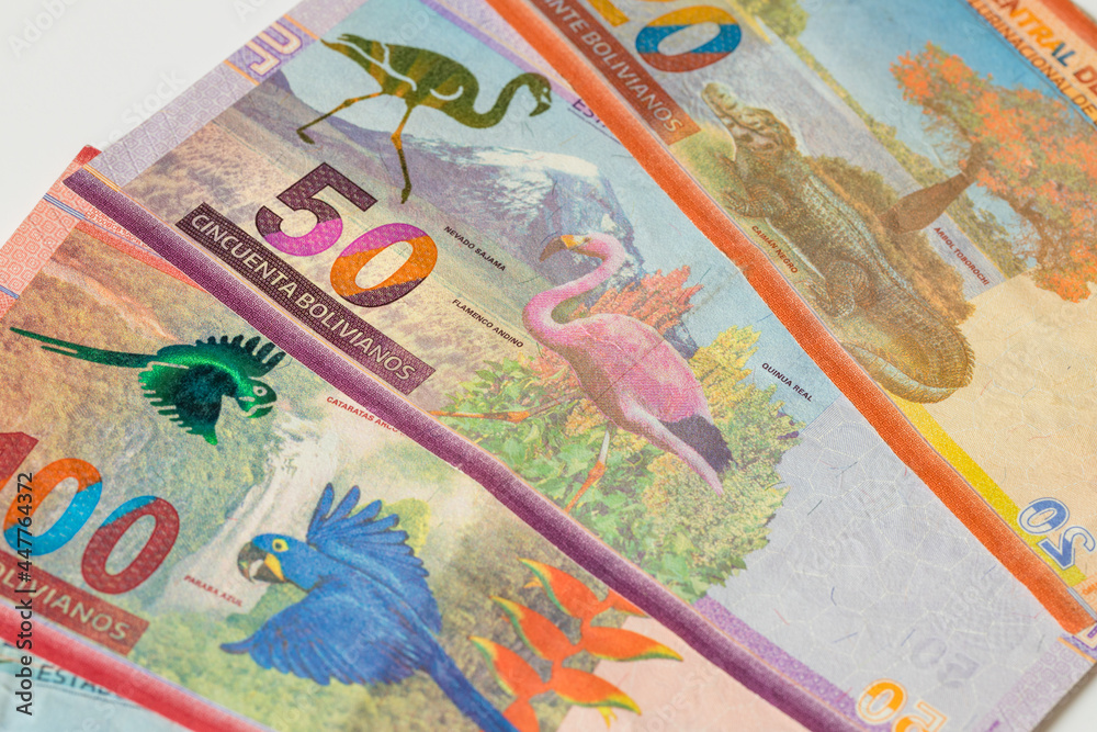 Bolivian currency, Various banknotes, Animal page. Business and financial concept