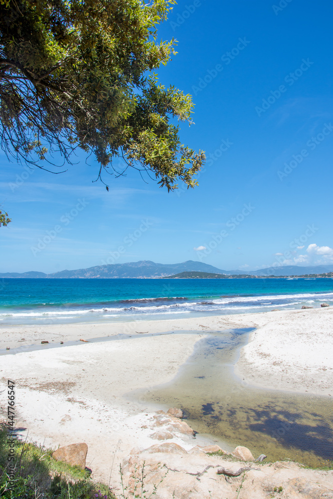 discovery of the island of beauty in southern Corsica, France