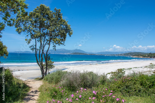 discovery of the island of beauty in southern Corsica  France