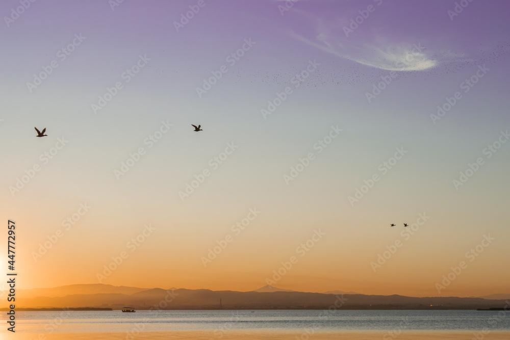 Reserva natural de la Albufera Reserva natural de la Albufera