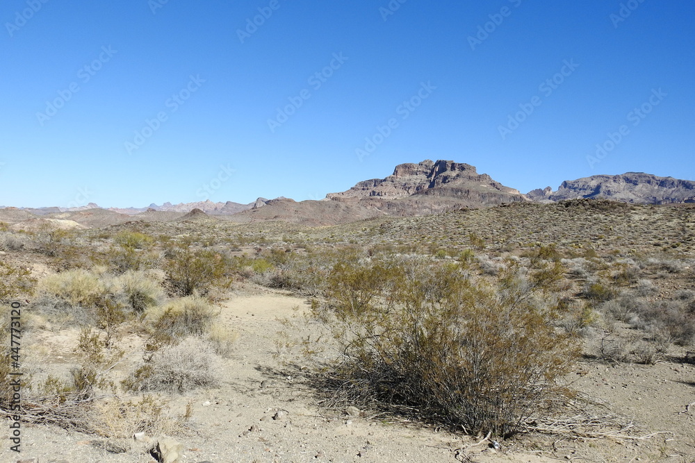 The beautiful scenery of the Mojave Desert, with the Black Mountains in the background, Mohave County, northwestern Arizona.