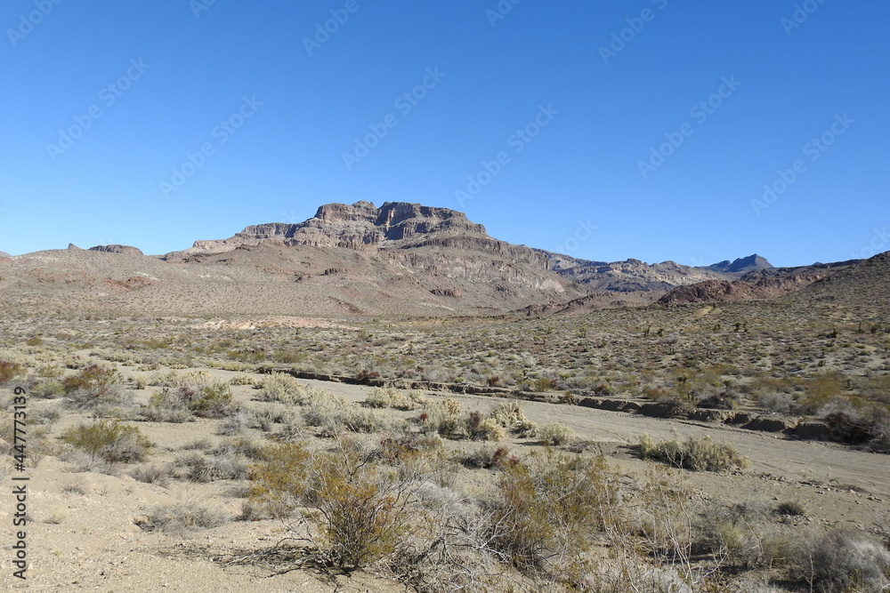 The beautiful scenery of the Mojave Desert, with the Black Mountains in the background, Mohave County, northwestern Arizona.