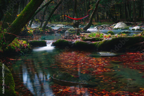 Fototapeta Naklejka Na Ścianę i Meble -  Fall River Scene With Hammock Over Gentle Falls With Colorful Leaves In Fall